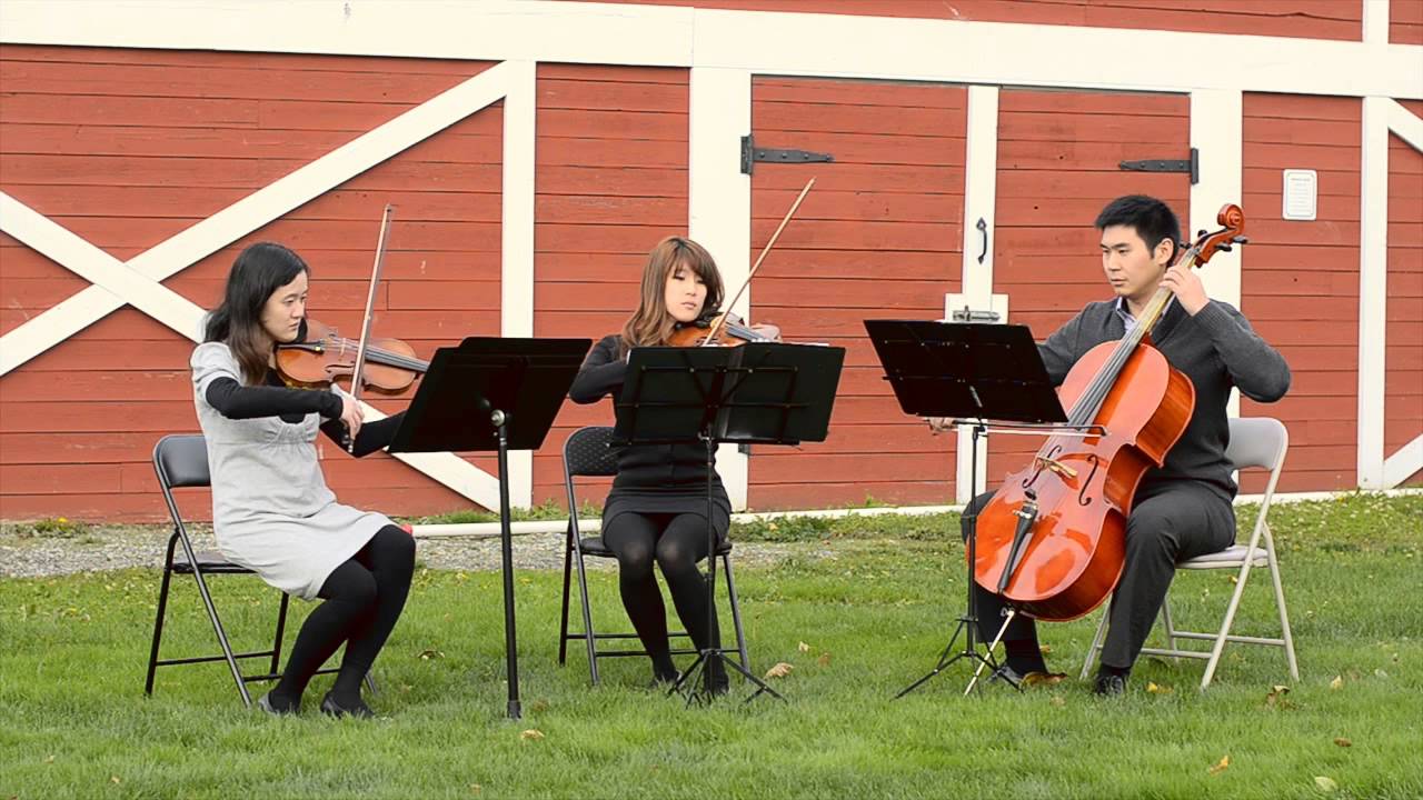 12strings - Canon in D - Pachelbel