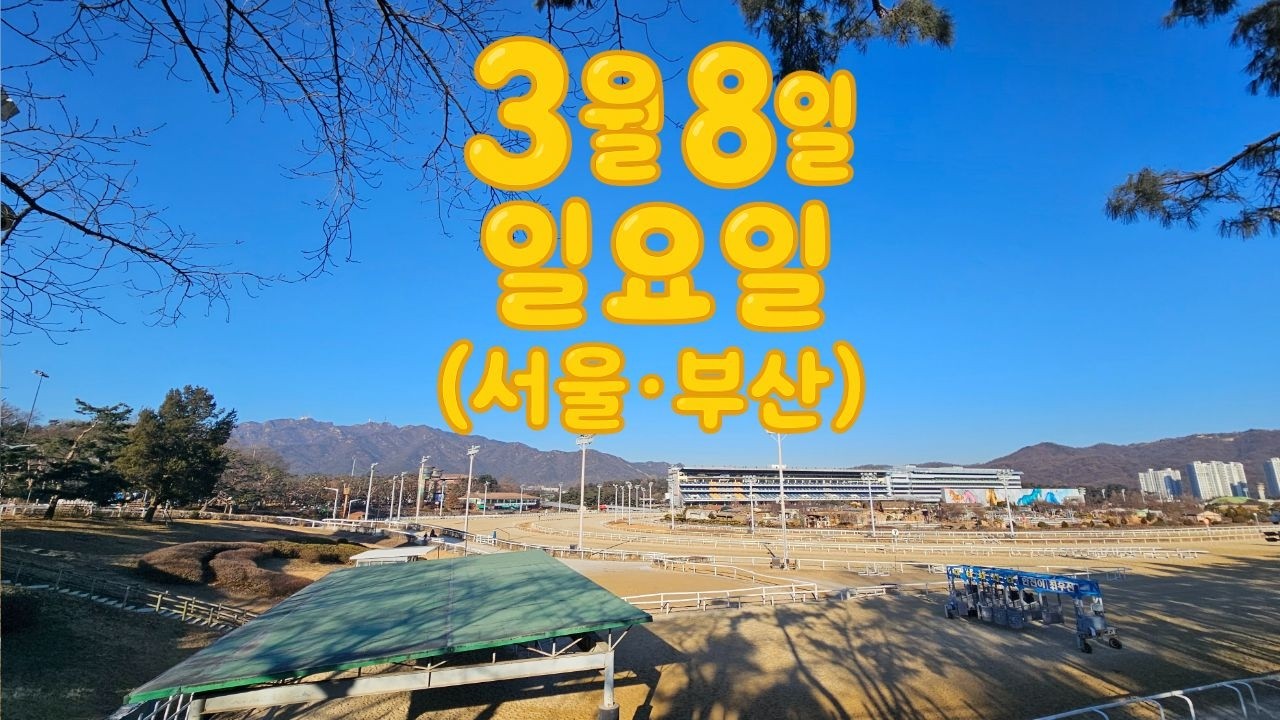 [ 2026년 3월 8일 일요(서울.부산)경마~!]