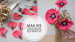 Mack of paper / Мак из гофрированной бумаги / DIY Tsvoric