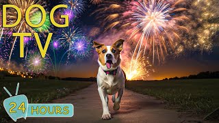 DOG TV: Video Relaxing Calm Music to Helps Dogs Reduce Anxiety From Fireworks, Bangs - Music for Dog