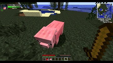 Minecraft : How To Survive Your First Night (Survival Mode)