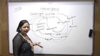 Biology +2 5.11.2018 Part 2