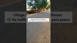 Village nature hits different!#shorts#ytshorts#trending#villagelife#naturevibes#nature#fyp#viral