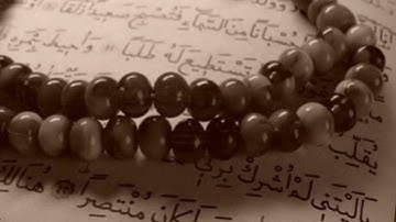 سورة الجاثية _ محمود عبدالحكم