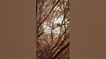 سورة نوح بصوت الشيخ محمود علي البنا