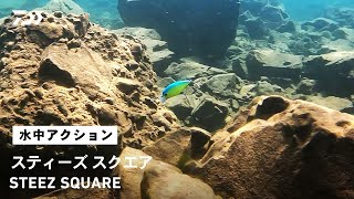 【ルアーアクション】STEEZスクエア｜早巻き対応！いつでもどこでも使いやすいシャロークランクの決定版！