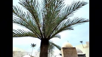 [OLD CSS] jump awp JESTER