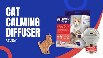 FELIWAY MultiCat Calming Pheromone Diffuser: Say Goodbye to Cat Fights | Review