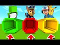 Minecraft PE : DO NOT CHOOSE THE WRONG TUNNEL! (Dream, Paw Patrol &amp; Pokemon)