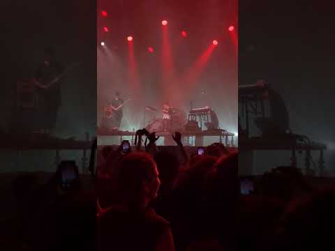 SON LUX - Easy | LIVE @ SZIGET Festival 2019