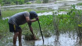 How We Save Our Home Garden from the Flooding Water