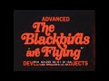 "THE BLACKBIRDS ARE FLYING"  LOCKHEED SR-71 BLACKBIRD PROMO FILM  SR-71A / SR-71B X-PLANE XD12994