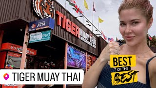 Ultimate Tiger Muay Thai Experience in Phuket | Complete Walkthrough Guide | Fitness Street
