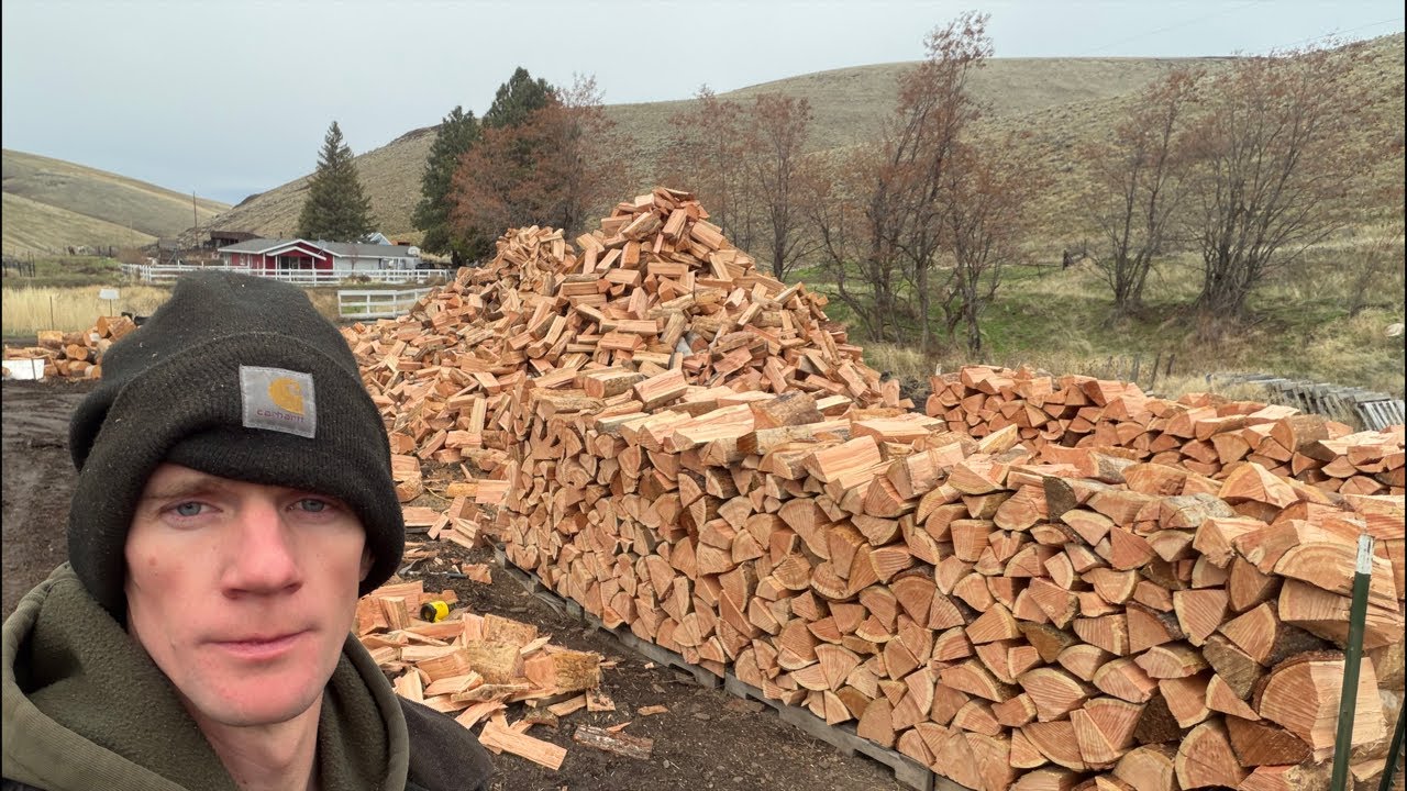 Going to stack 28 cord of 16 inch logs live - YouTube