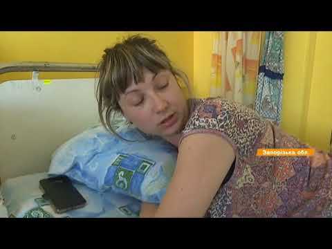 Отдых в Бердянске 2018: собаки терроризируют город