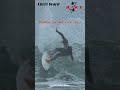 Chris Ward Goes Vertical At Lowers On His RIKT #surfing #surfer