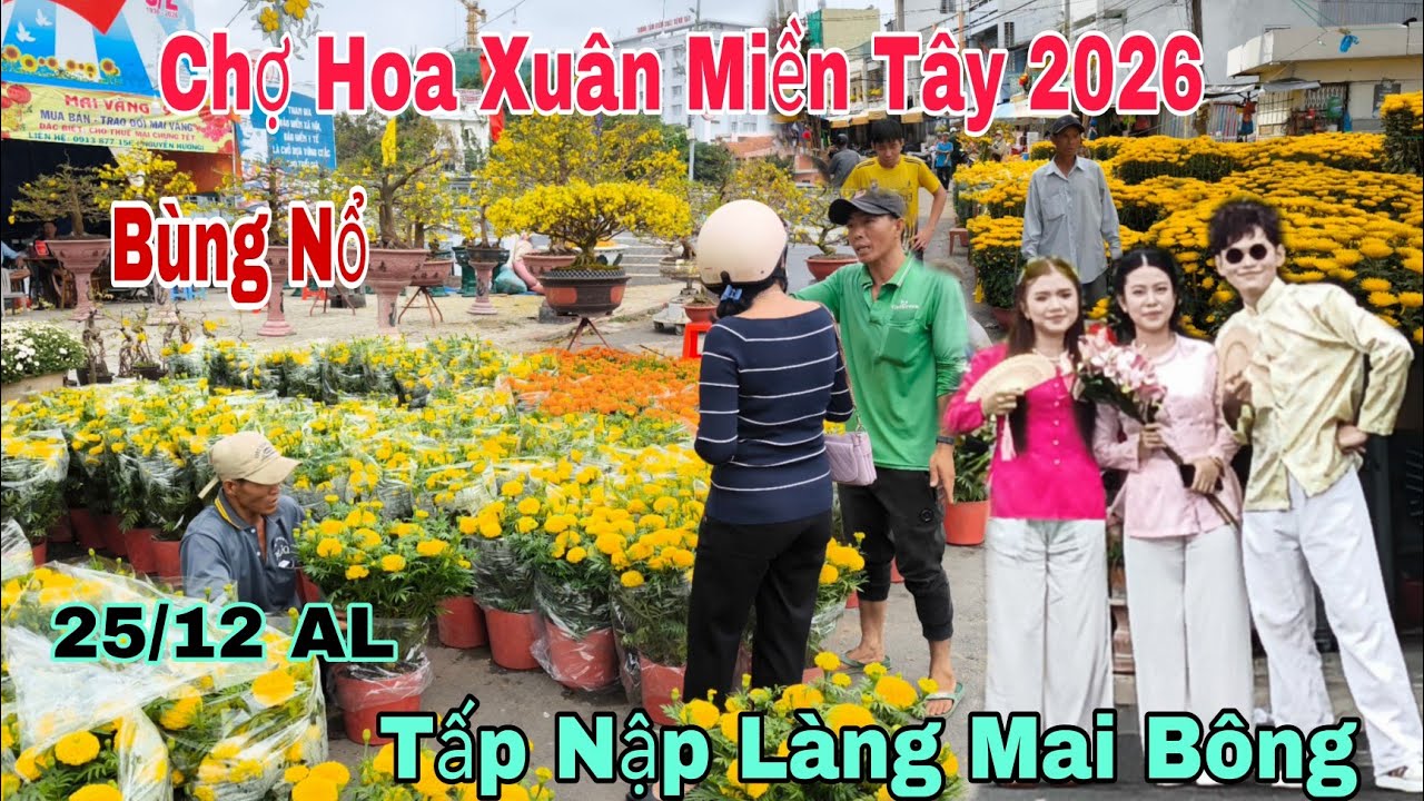 Chợ Hoa Xuân Miền Tây Long Xuyên 25 Tết 2026 Bùng Nổ Ngay Lúc Này Làng Mai Bông