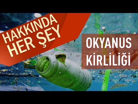 Okyanus Kirliliği Hakkında Her Şey