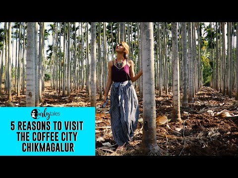 5 Reasons Chikmagalur Should Be On Your Travel List | Curly Tales