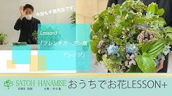 株式会社サトウ花店 Youtube