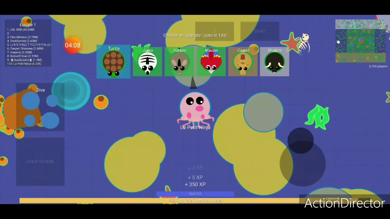 TUTO : Comment être un joueur pro sur Mope.io