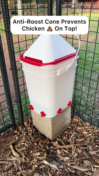 My Favorite No-Maintenance Chicken Waterer!
