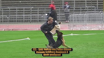 2017 SV BSZS in Ulm TSB part 156 EZS Vulkan von Pallas Athene