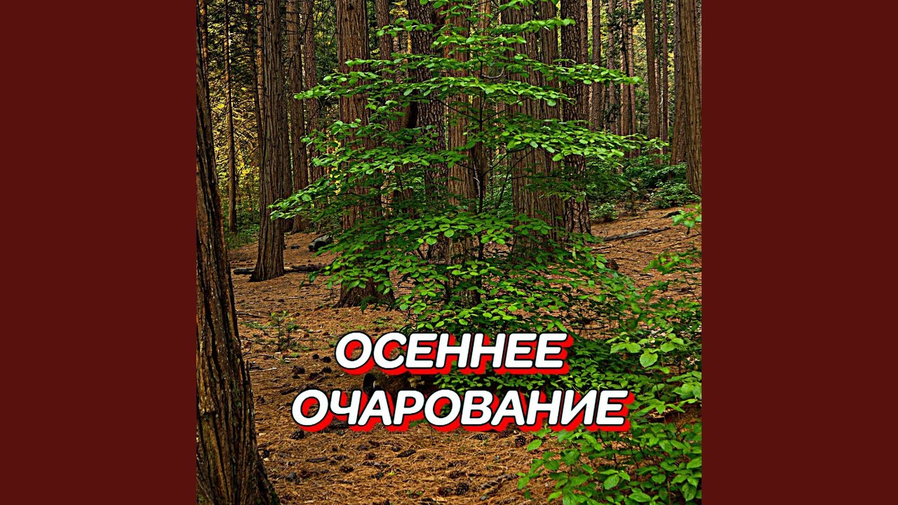 ОСЕННЕЕ ОЧАРОВАНИЕ