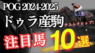 【POG】POG2024-2025「ラストクロップ！ドゥラメンテ産駒注目馬10選」【競馬】