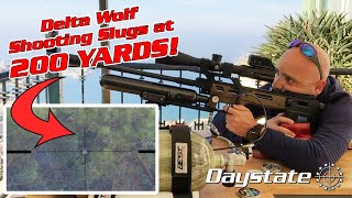 Celebrity Shooting the Delta Wolf at 200 Yards with Slugs - Accuracy Results Profile