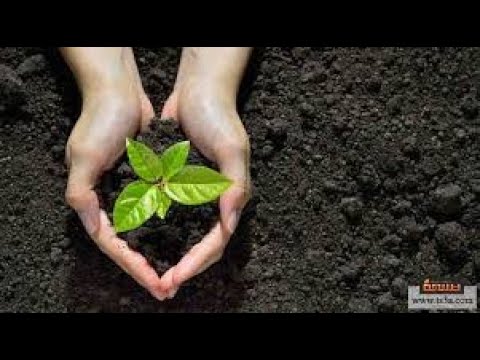 معنى النظام البيئي البسيط والمركب | #نفهم_مهارات الحياة | نفهم في دقيقة