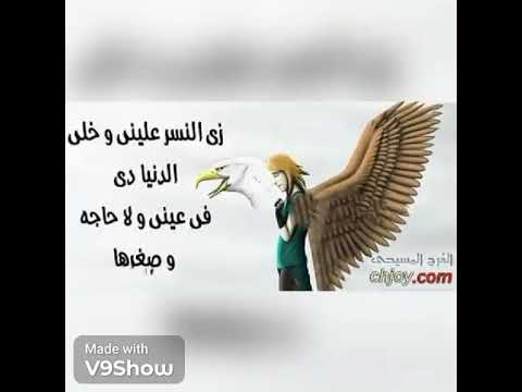 ذنوبى حمول نسر البريه ابونا فلتاؤس السرياني ترانيم مسيحية Jesus اكسبلور Fypシ Viral لايك 