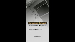 Kombinasi Dahsyat SP Eagle dan Suara Tarik Top #Duniawalet #SuaraWalet #gedungwalet #shorts #short