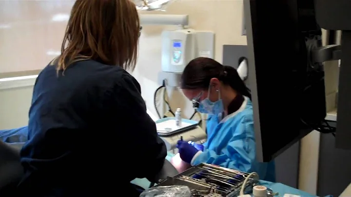 The Shamblott Family Dentistry Staff during Dentis...