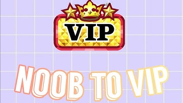 GETTING VIP FOR THE FIRST TIME MSP