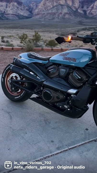 Custom Harley ￼Sportster S ZardGT