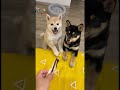 おやつ一つで友情崩壊？