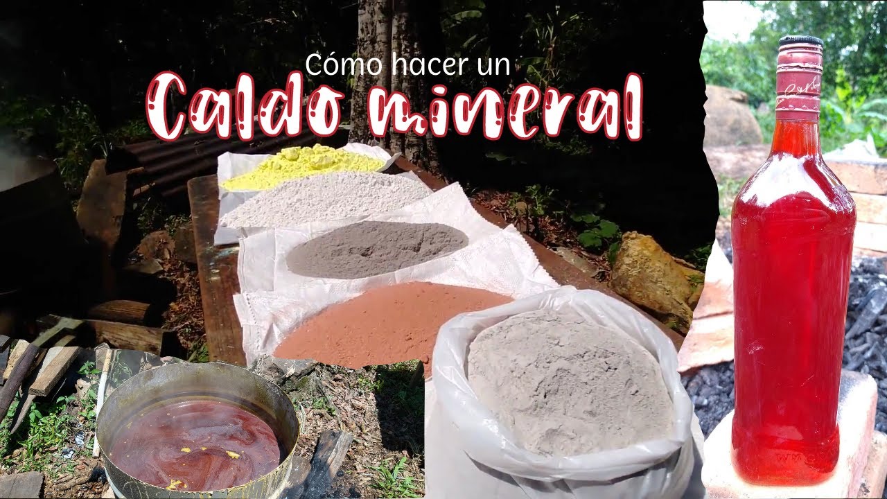 Cómo hacer un caldo mineral | Cultivo de cacao