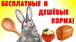 Бесплатные и дешевые корма для животных