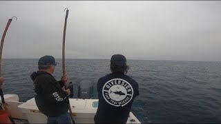 Watch Bluefin Tuna BLOW UP on the Sterling Tackle Spreader Bar-Catch & Cook