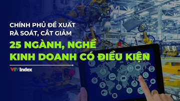 [TÀI CHÍNH KINH DOANH] Đề xuất rà soát, cắt giảm 25 ngành, nghề kinh doanh có điều kiện | VTVIndex