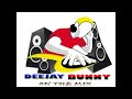 Deejay bunny on the mix