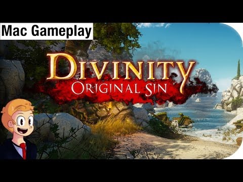 Video: Divinity: Original Sin Tillkännages För PC Och Mac