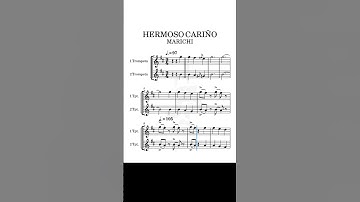 Thumbnail of HERMOSO CARIÑO - VICENTE FERNÁNDEZ. #fyp #musica #partitura #trompeta