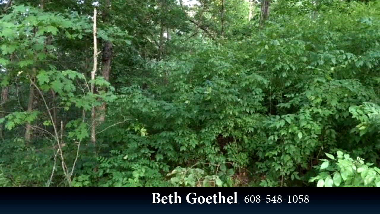 L107 Pebblebeach Dr, Dellona, WI 53965