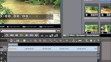 11. Presenting the Bin Window [EDIUS 6 Basics]