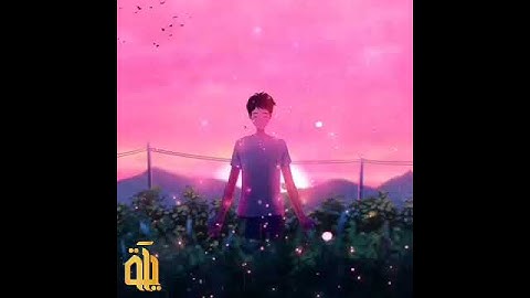 كل نفس ذائقة الموت 🌷||شرف مصطفى|| 🎧حالات واتس اب قران كريم حزينه// محاكات القارئ اسلام صبحي 💚
