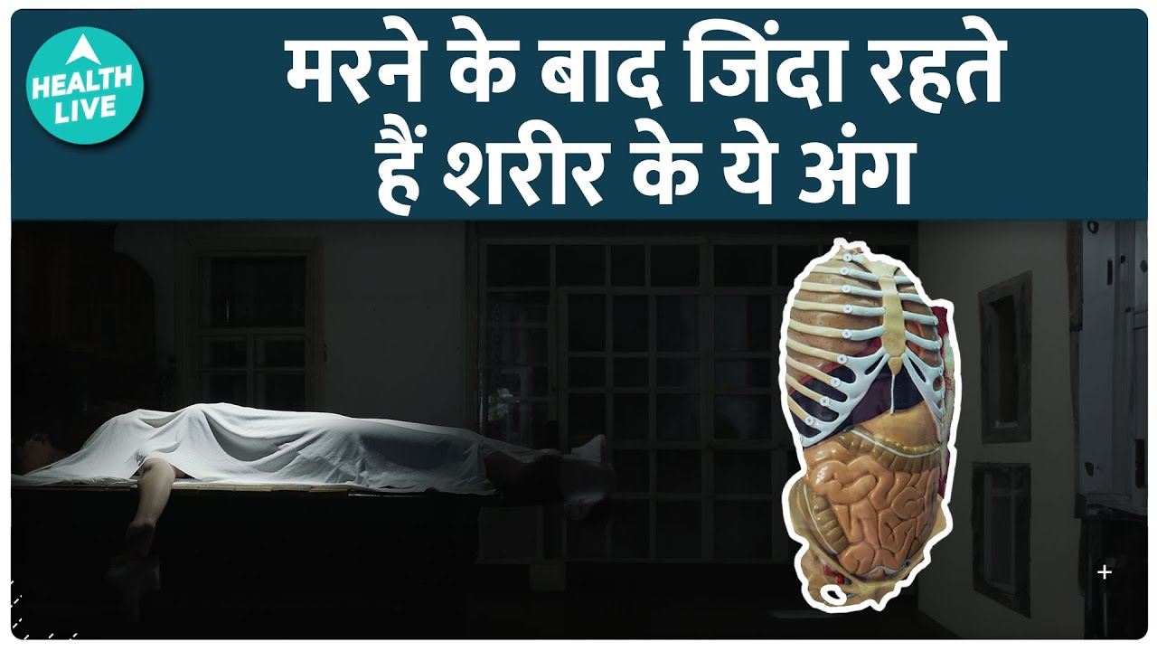 These Parts Of The Body Remain Alive For The Longest Time After Death These Parts Of The Body Remain Alive For The Longest Time After Death