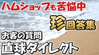 【アマチュア無線】年　ハムショップ　答えるのも難解な質問が多数あり。回答の一例を紹介　　 ライセンスフリー無線　アマチュア無線