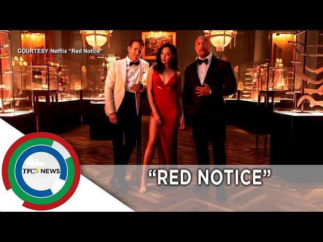 Dwayne Johnson  Dwayne and Gal on Red Notice - Telegraph India